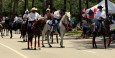 Mexicanske cowboys ... som sikkert ikke hedder cowboys. Og måske var cubanske. Hvad ved jeg. Hestene kunne danse.