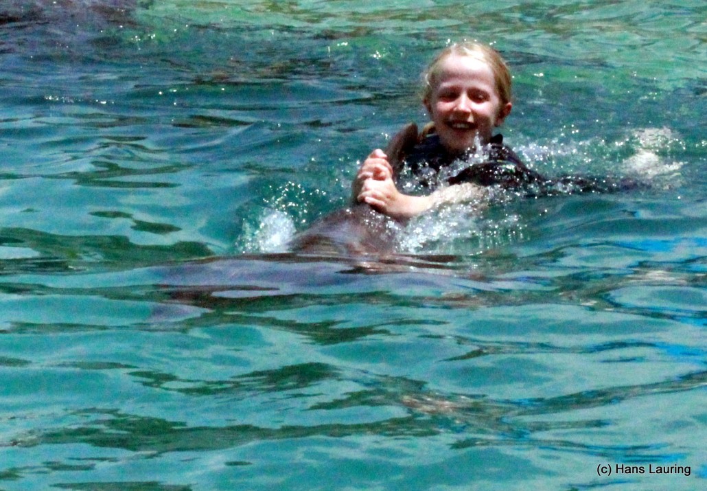 Da Hannah mødte delfinen Star